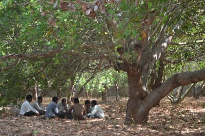 Why We are Called Background Partners - Stories Under the Tree