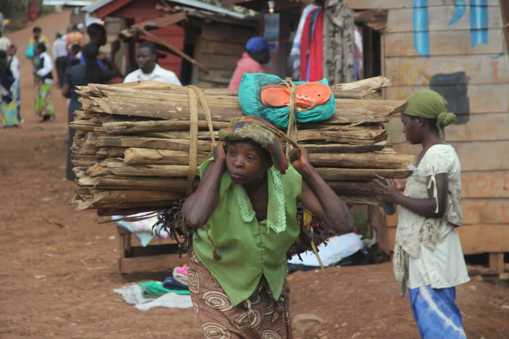 Survivor Woman carrying firewood