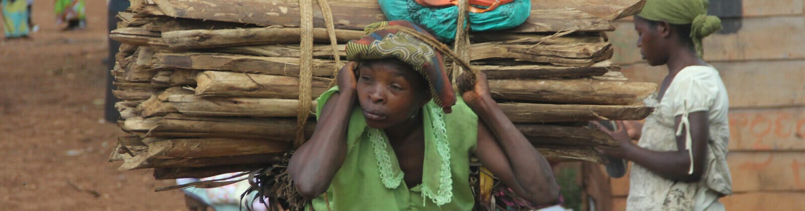 Women Guerrilla Camp Survivors - Background Partners